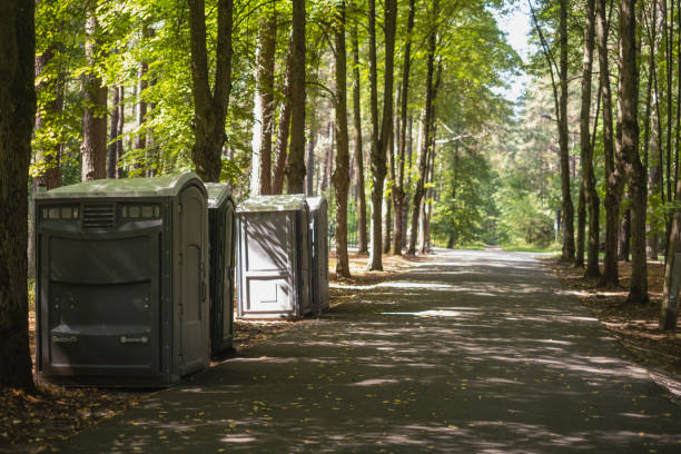 Best Luxury portable toilet rental  in Coleraine, MN